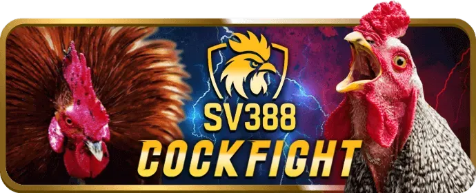 HB88 Win Hợp Tác Với Nhà Cung Cấp Game Casino Trực Tuyến Hàng Đầu